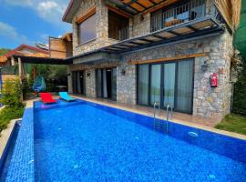 2 Bedroom Private Villa with Infinity Pool and Sea View，位于法拉尔雅的酒店