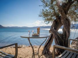 Beautiful Traditional Stone House in the private Sea Front Olive Grove of Elaionas Nikou Luxury Villas，位于Alyfantá的豪华酒店