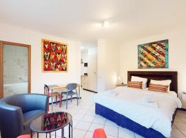 Spacious studio in a nice area in Sierre，位于谢尔的酒店