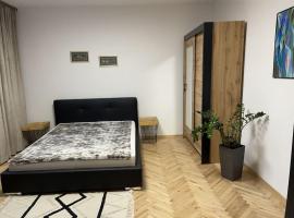 Dom w Nowym Sączu przy Miasteczku Galicyjskim，位于新松奇的酒店