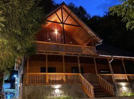 V13 Wild Cabin - Traditional mountain cabin with cosy modern rooms，位于Gura Teghii的别墅