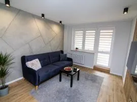 Apartament KOPERNIK w centrum