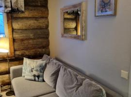 Polaris Homes Huippu，位于索特的酒店