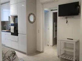 Les Violettes 3 pièces centre ville Antibes