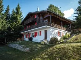 Chalet Sunnuterrasse