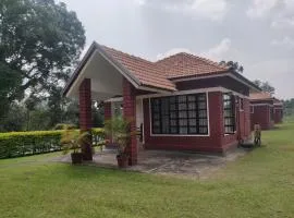Dubare Inn Coorg，位于马迪凯里的度假村
