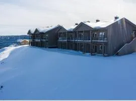 Perfect Christmas atmosphere! Beautiful Apartment at Skagahøgdi with Panoramic View