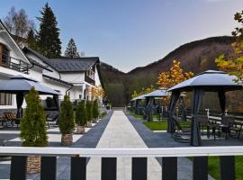 Vila Casa cu Tei，位于Lupeni的酒店