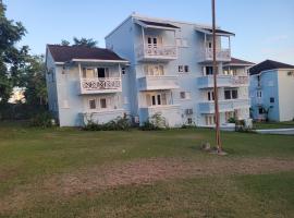 Negril Ocean View Apartment，位于尼格瑞尔的酒店