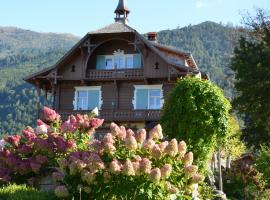 Wohnen am See Villa Schrötter direkt am Traunsee，位于Rindbach的带停车场的酒店