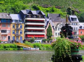 Weinhotel Mayer，位于摩泽尔河畔的泽尔的酒店