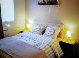 Bel appartement avec jardin à 50m des plages du debarquement