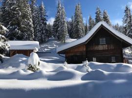 Fuggerhütte，位于Flattnitz的酒店