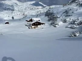 Gjaid-Alm 1738m am Dachstein-Krippenstein