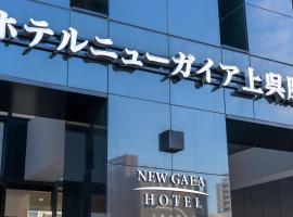 Hotel New Gaea Kamigofuku，位于福冈的酒店