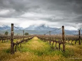 In De Vines - Chenin - Farmstay