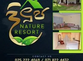 Dilupa Nature Resort