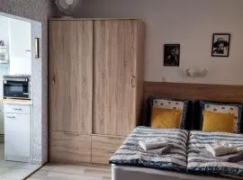 1 rue des romains studio meublé clauss