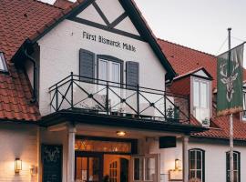 Fürst Bismarck Mühle，位于Aumühle的酒店