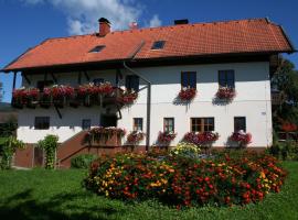 Bauerborchardt - Urlaub am Bauernhof bei Familie Borchardt，位于Wernberg的农家乐