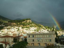 Hotel Amfissaeum，位于阿姆菲萨的酒店