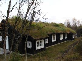 Gålå Fjellhytte - cabin with sauna and whirlpool tub，位于Sør-Fron的别墅