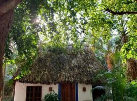 Cabañas Pájaro Azul，位于Akil的酒店