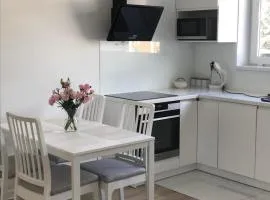 Apartament IGA