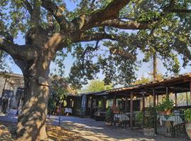 La Vecchia Quercia，位于Selci的酒店