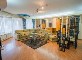 Artsy 3BR flat in Primaverii - most exlcusive area，位于布加勒斯特齐奥塞斯库故居附近的酒店