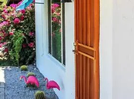 Newly Remodeled Midcentury Pink Flamingo Casa (40)