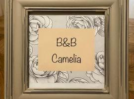 B&B Camelia，位于卡斯泰洛城的酒店