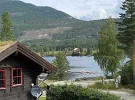 Laftet hytte i strandkanten med bade og fiske muligheter