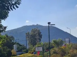 בין הר למעיין