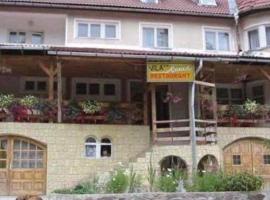 Vila Apuseni，位于阿列谢尼的酒店