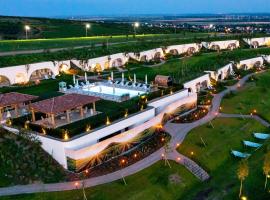 Casa Timiș - Wellness & Spa Resort，位于Chiţorani的酒店