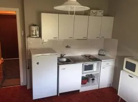 Appartement cosy à la Pierre St Martin - 4 pers, au pied des pistes, parking gratuit - FR-1-602-90