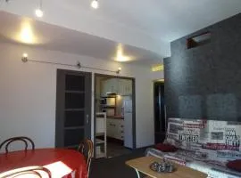 Charmant Appartement 3 Pièces à Arette - 2 Chambres, Casiers à Skis, Parkings Gratuits - FR-1-602-26