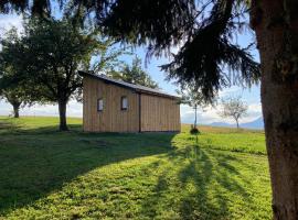 Tiny house，位于Mislinja的小屋