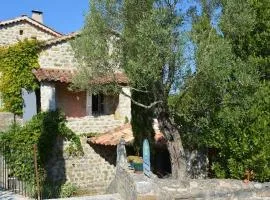 Maison climatisée 2/3 pers - Terrasse, barbecue, cheminée, animaux admis - Belle vue garrigue - FR-1-382-64