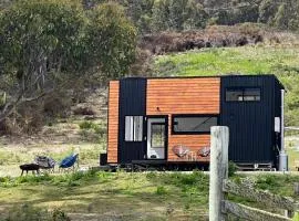 Adina Tiny House Bruny Island