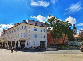 Hotel Domus Collis，位于杰尔Széchenyi István University附近的酒店