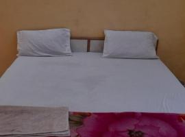 Blue Heart Guest House，位于Atrauli的酒店