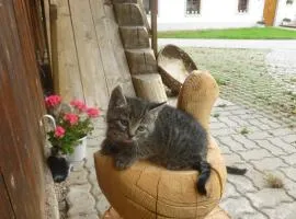 菲林兰德瓦尔波公寓