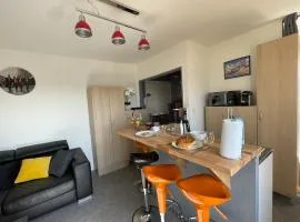 Appartement chaleureux , cosy, bien équipé et bien placé