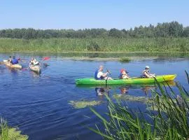 POLE NAMIOTOWE nad rzeką BIEBRZA w GONIĄDZU