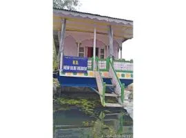 Blue heaven House boat, Srinagar