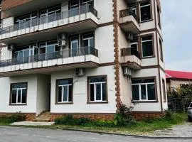 Apartments NITA