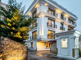 SVK Bosphorus Residence，位于伊斯坦布尔耶尔德兹宫附近的酒店
