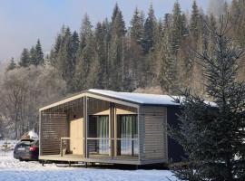 River Cottage Complex，位于Richka的酒店